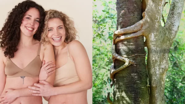 Dove regeneration campaign