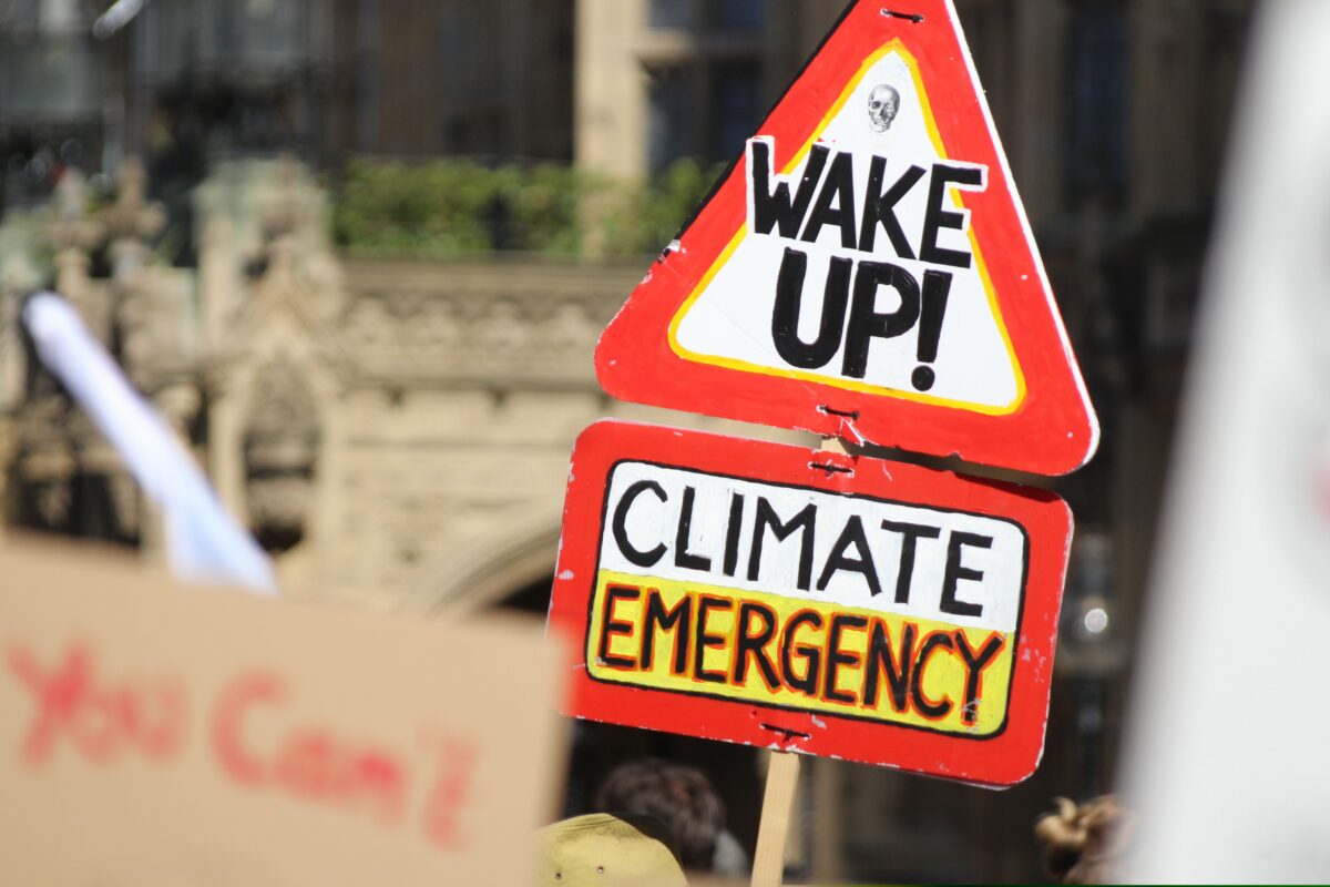 East Herts councillors have voted unanimously to declare a climate emergency, and set out a set of 2027 commitments to reduce carbon footprint.
