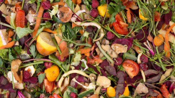 The Department for Environment Food and Rural Affairs (Defra) is ditching its plans to force companies to carry out mandatory food waste reporting.
