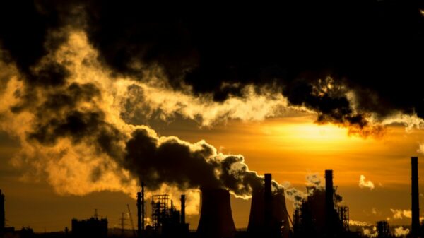 A group of over 20 NGOs have signed a letter calling on the Science-Based Targets Initiative (SBTi) to raise the bar for its targets, so that they align with the workings of the UN’s High Level Expert Group.