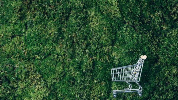 A third of millennial and Gen Z shoppers (33%) are more loyal to brands with a positive corporate reputation and values similar to their own such as an emphasis on sustainability