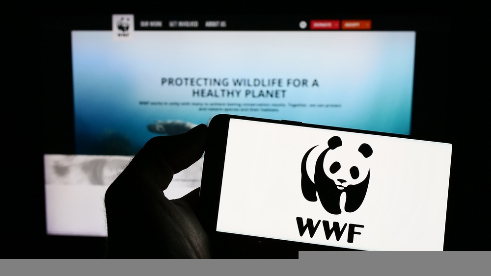 Person holding cellphone with logo of climate group World Wide Fund for Nature Inc. (WWF) on screen in front of webpage. Focus on phone display.