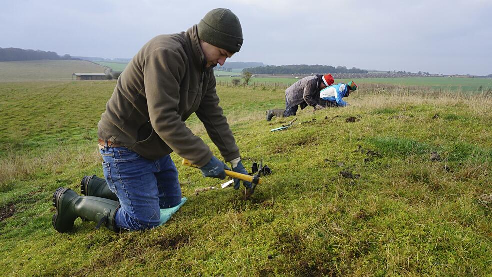 RSPB restoration in partnership with Ella's Kitchen