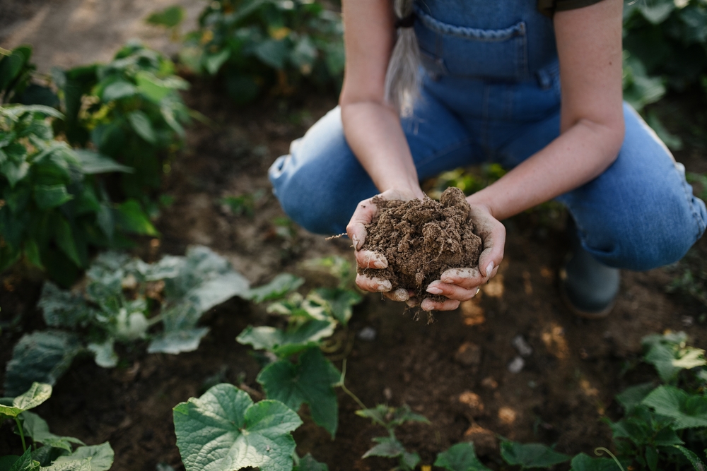 Nestlé regenerative farming