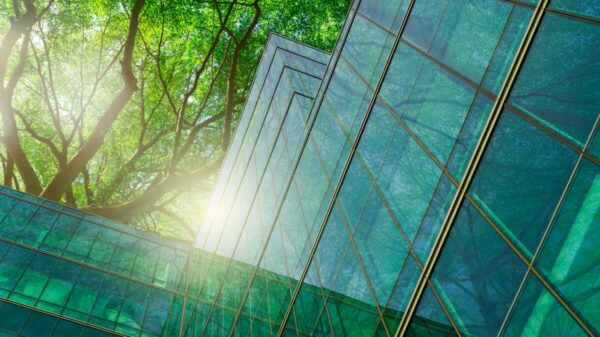 The ISSB (International Sustainability Standards Board) has been urged to prioritise human rights in a letter from the NGO ShareAction and global investors.