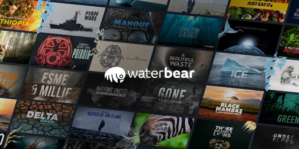 Waterbear social media infographic