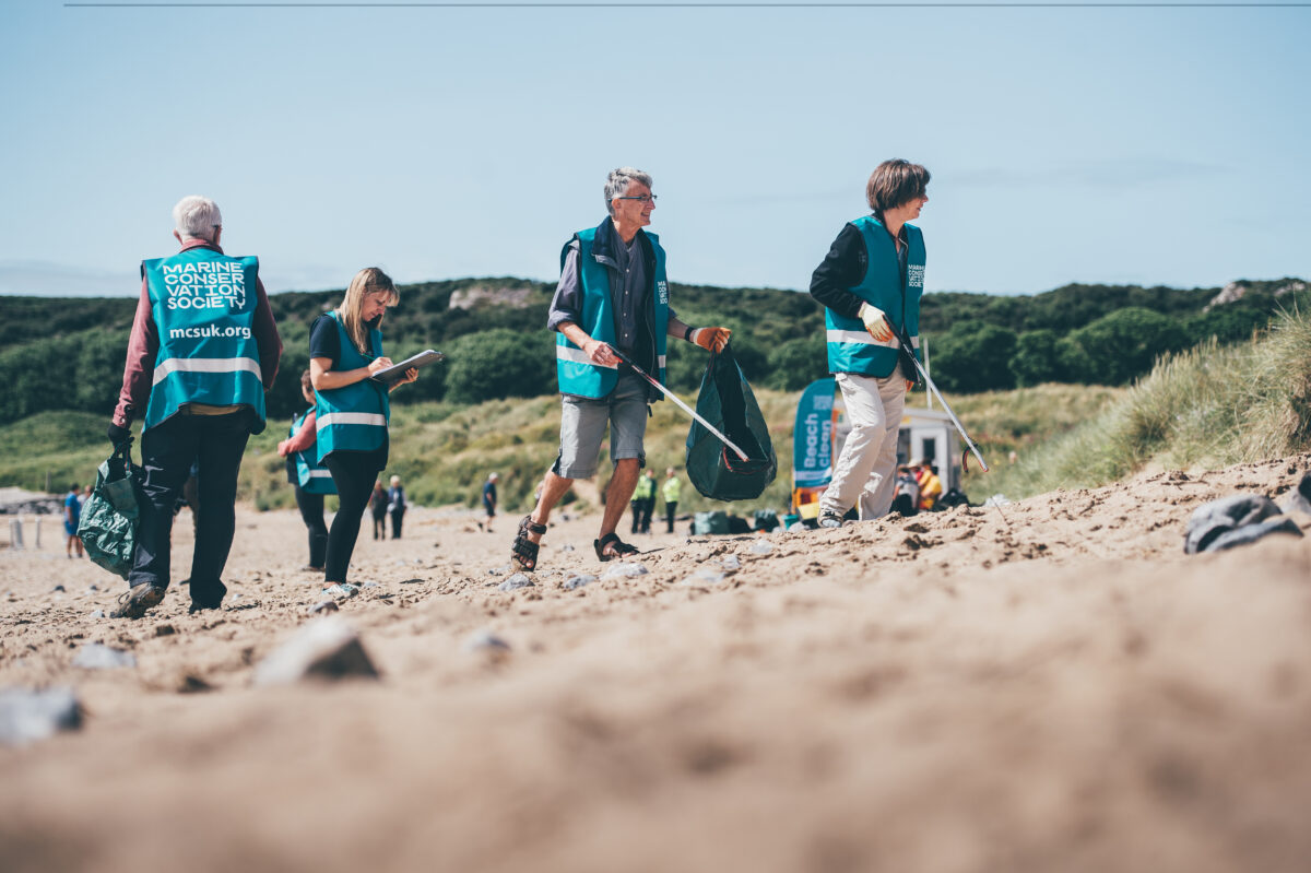 Aldi is supporting the Marine Conservation Society with £50,000 sponsorship; the move makes the supermarket its biggest corporate funder.