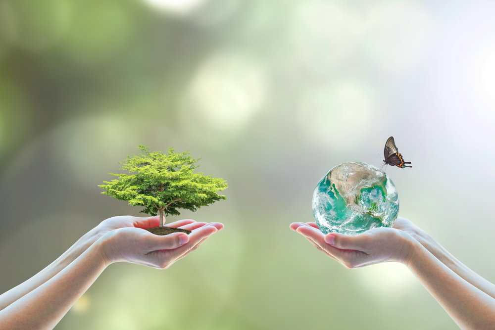 green plan
