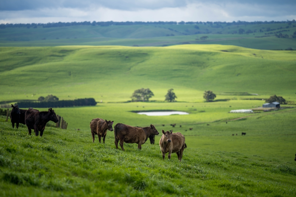 International giants Bayer and ADM are extending their regenerative farming initiative partnership, following a trial last year at oilseed rape farms.