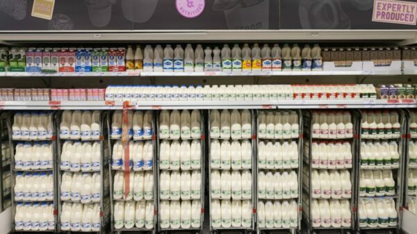 Sainsbury's milk