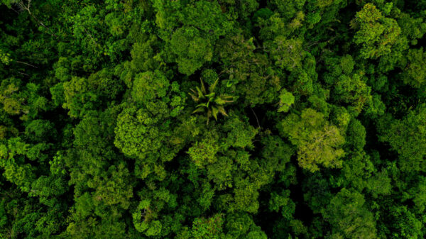 The call to change land use across agriculture and biodiversity comes from Zoological Society of London (ZSL) and British Ecological Society.