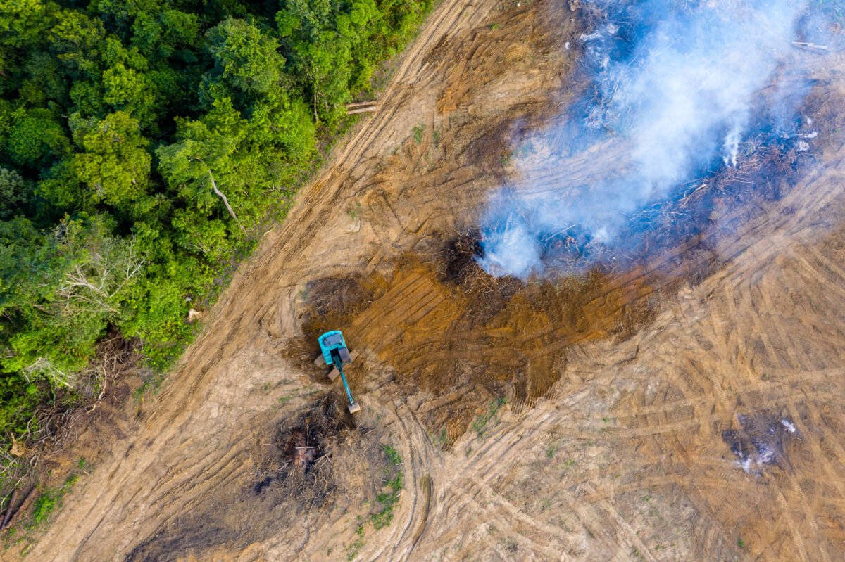 A four-month investigation by the NGO Mighty Earth found that the agribusiness giant Cargill worked to block a proposed COP27 deal to end deforestation linked to soy production.