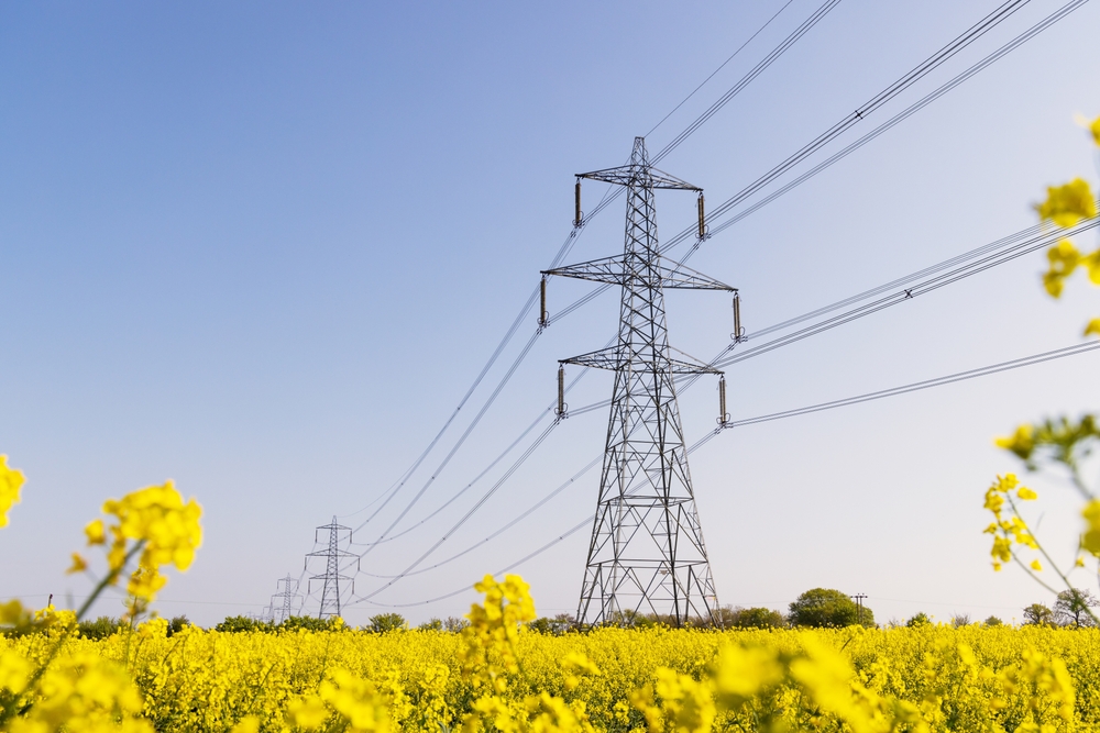 The National Grid's Electricity Systems Operator (ESO) said the Demand Flexibiity Service (DFS) scheme will run throughout the entire year.