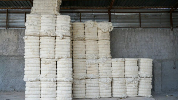 Better Cotton rolls
