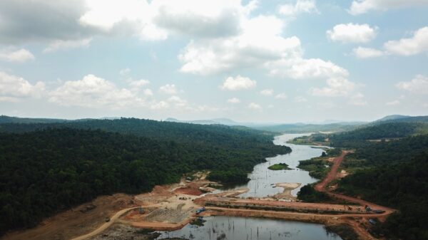 An aerial view of deforestation in Steung Hav, Cambodia. Many Verra’s carbon offsetting schemes are “not stopping any deforestation at all or stopping very small amounts".