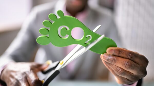 Carbon Dioxide Footprint Sign. Co2 Reduction. Green Environment