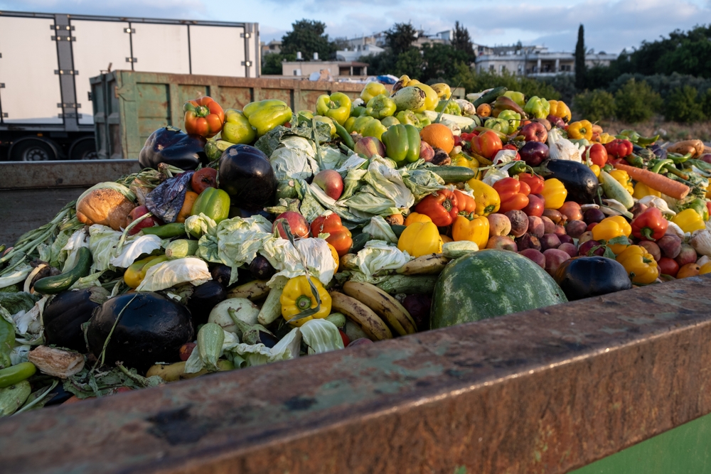 Bio Waste of Expired Vegetables in a huge container, Organic mix in a rubbish bin. Heap of Compost from vegetables or food for animals. Food waste