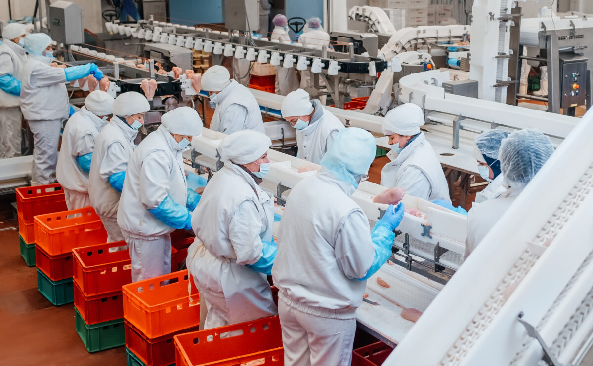 The meat and dairy industry is failing to reduce emissions with an increase of over 3% ahead of COP28, according to analysis by the FAIRR investor network.