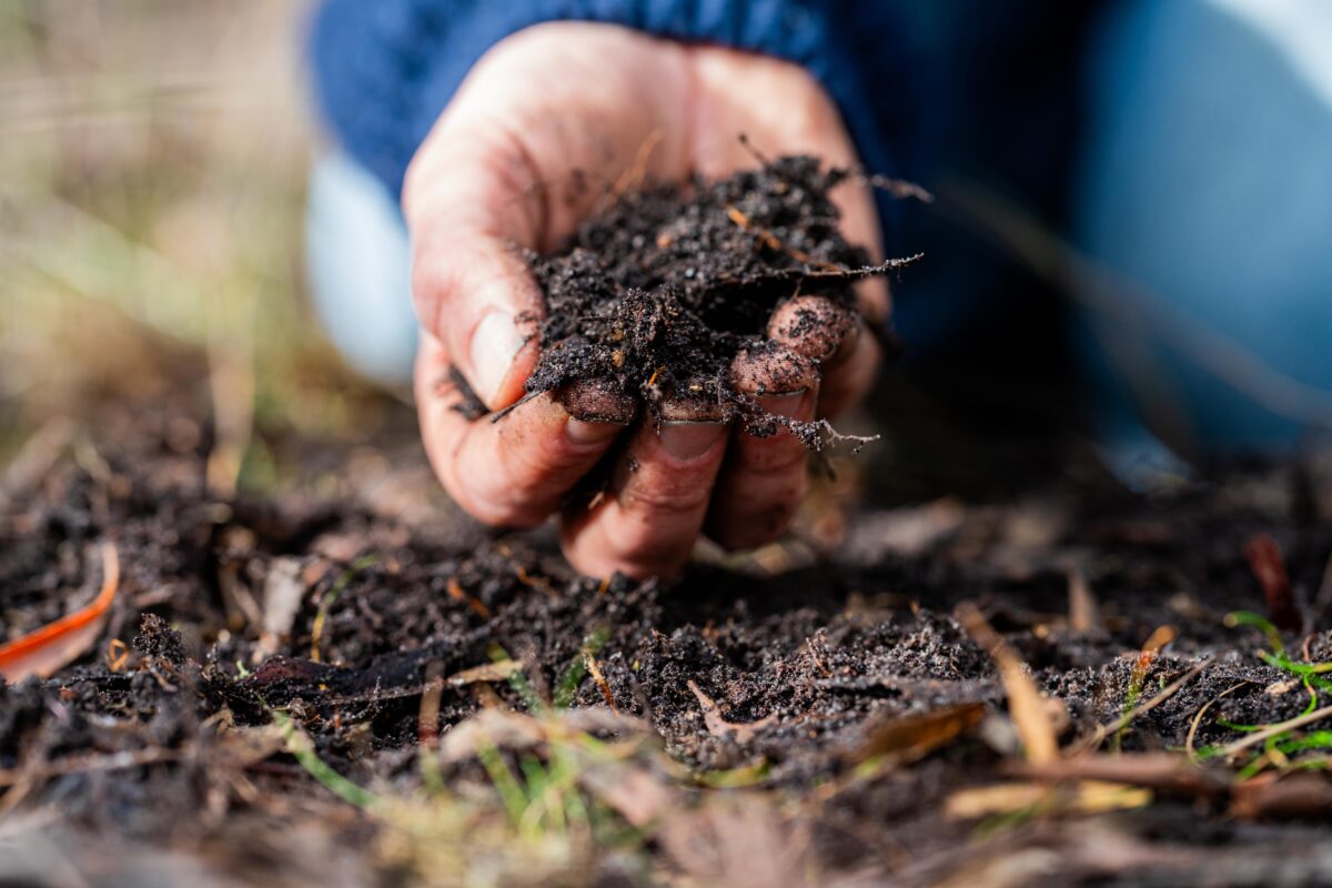 turning a compost pile in a community garden. compost full of microorganisms. sustainable regenerative farming