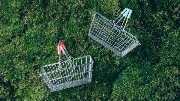 Sustainable lifestyle. Top view of supermarket shopping basket on green grass, moss background. Black friday sale, discount, shopaholism, ecology concept. Sustainable lifestyle, conscious carbon emissions