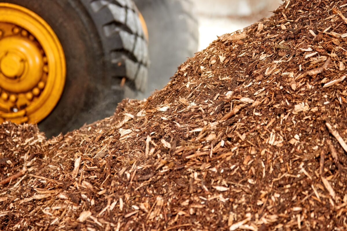 Biomass fuel for combustion in a thermal power plant. A pile of wood chips, in the background a part of a yellow large wheel of a loader for its transport. Solid Biomass energy source."