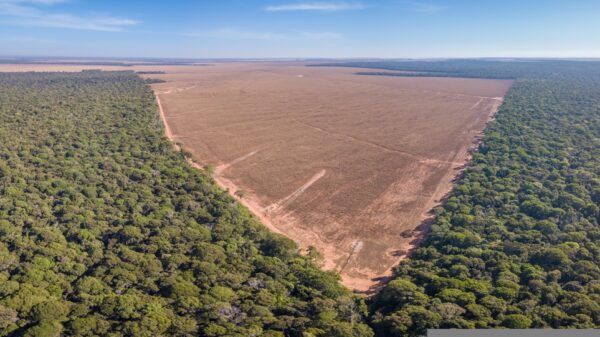 Drone panoramic aerial view of illegal amazon deforestation, Mato Grosso, Brazil. Forest trees and agriculture field land. Concept of climate change, global warming, ecology, environment, nature.
