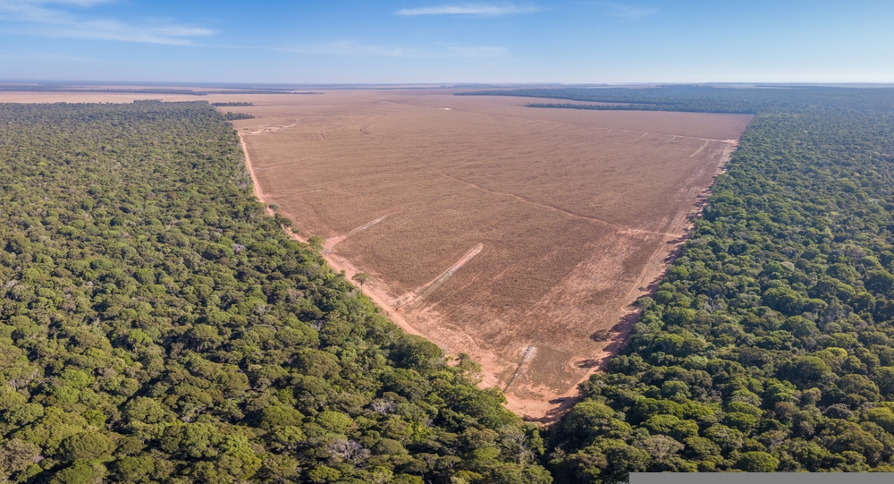 Drone panoramic aerial view of illegal amazon deforestation, Mato Grosso, Brazil. Forest trees and agriculture field land. Concept of climate change, global warming, ecology, environment, nature.