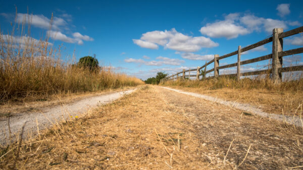 Long and dusty dry dirt road during the UK summer heatwave 2018
