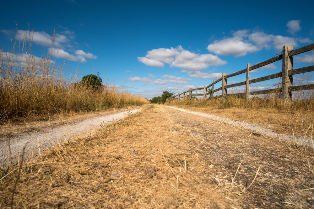 Long and dusty dry dirt road during the UK summer heatwave 2018