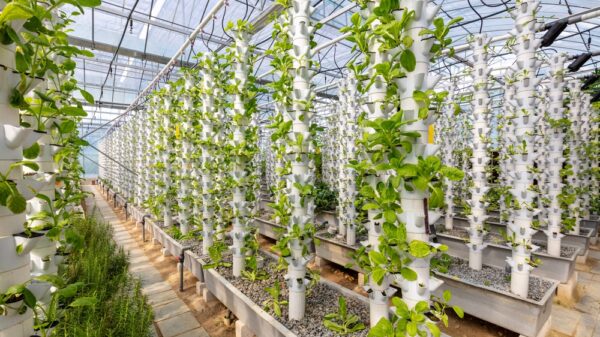 Sustainable Agriculture. Hydroponics based production method farm. Wellness, healthy and sustainable food sourcing concept. Vertical Farming.