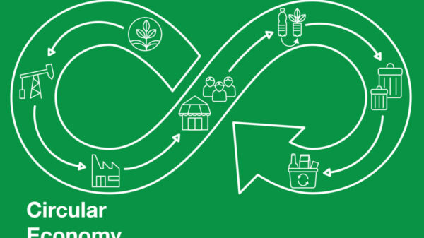 Circular Economy - Infographic Linear Style