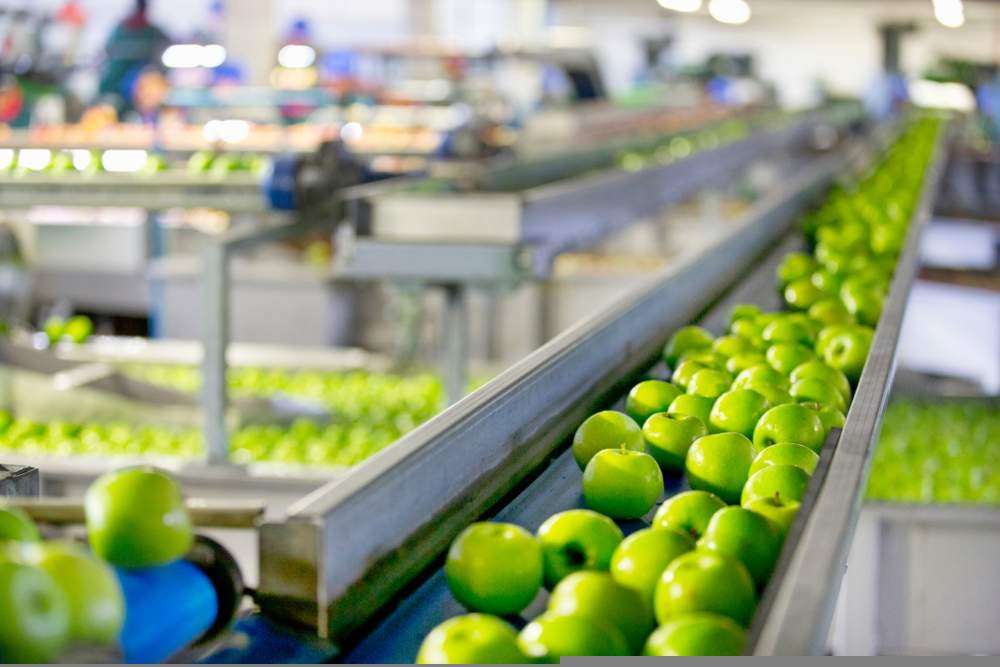 Food Apples Being Graded In Fruit Processing And Packaging Plant