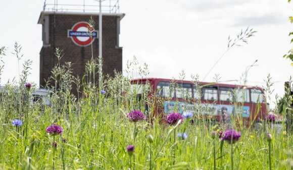 TfLs' wide-ranging new eco plan will help drive Sadiq Khan's ambition to tackle the nature emergency and make London carbon-neural by 2030.