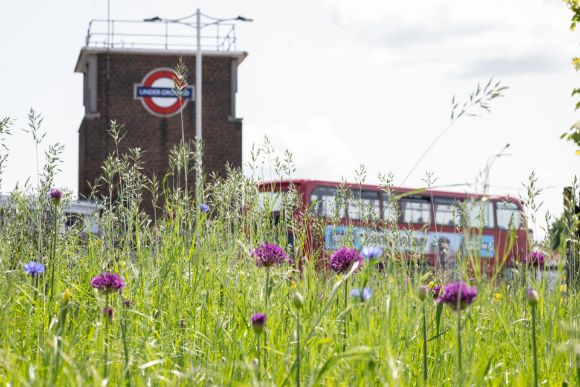 TfLs' wide-ranging new eco plan will help drive Sadiq Khan's ambition to tackle the nature emergency and make London carbon-neural by 2030.