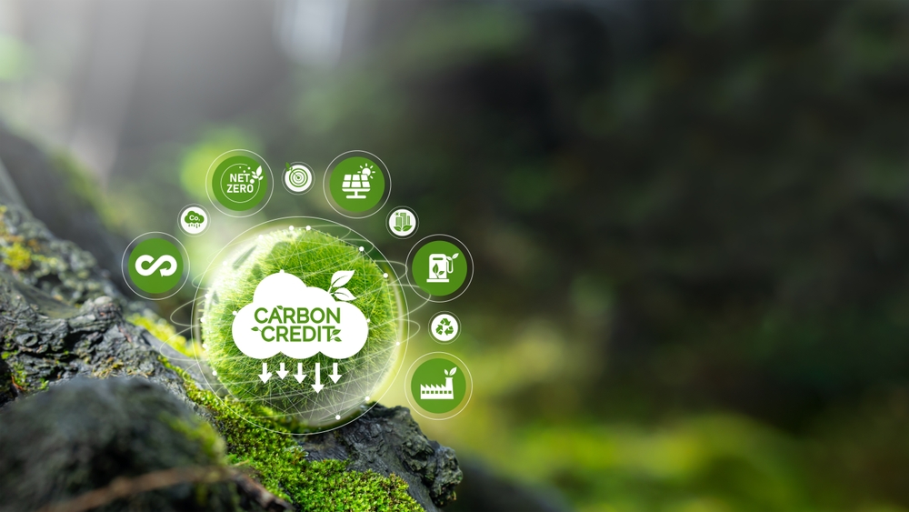 Zone/Cognizant's Esther Duran explains why we need to call out companies that offset their carbon footprint using unverified carbon credits.