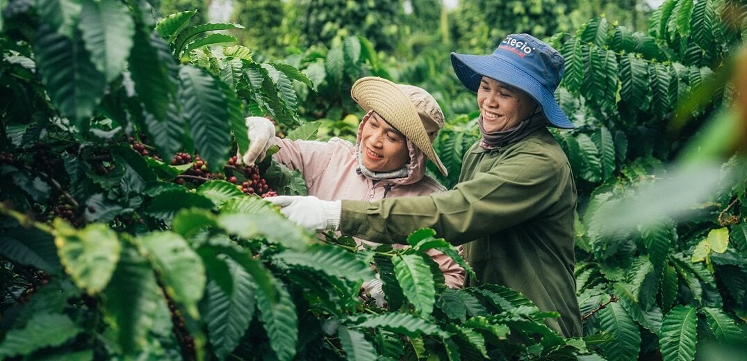 Nestlé reduced its greenhouse gas emissions in 2023 by 13.5% as the FMCG giant ramped up its efforts to achieve its net zero target.