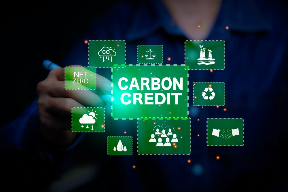 A leaked internal SBTi document has revealed that carbon credits are “ineffective” in reducing greenhouse gas emissions.