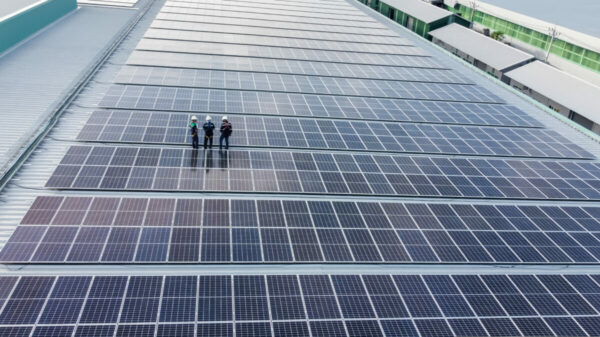 Solar panel installation. The shift to net zero will not require a “huge shift” in everyday lives but the politicisation of net zero will be detrimental to the economy.