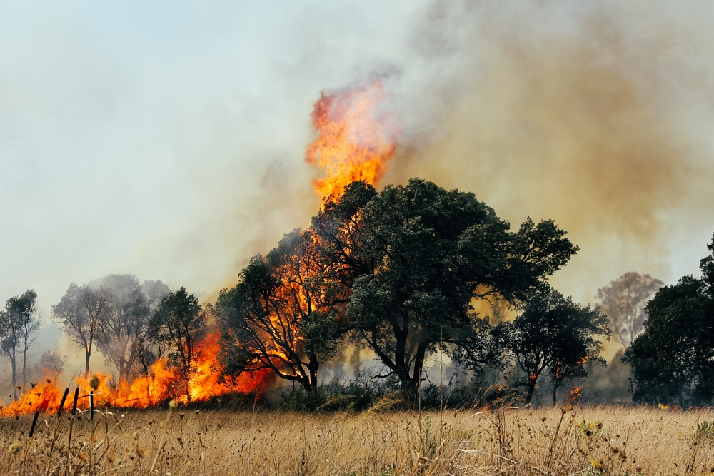 Six in ten Brits believe climate change is the biggest threat to civilisation but only 21% are willing to invest more in sustainable products.