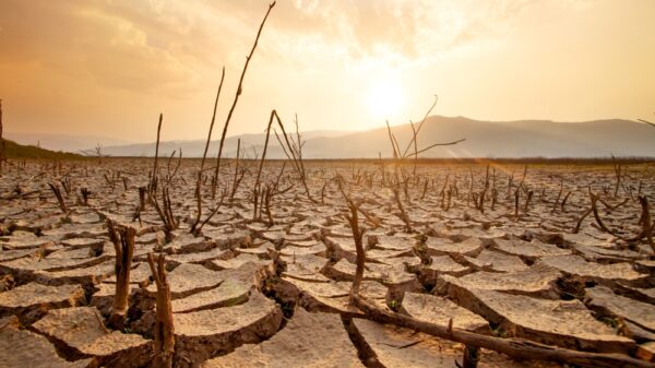 The research, carried out by a group of 57 scientists, says that global warming is seeing temperatures rising by 0.25 degrees every decade.