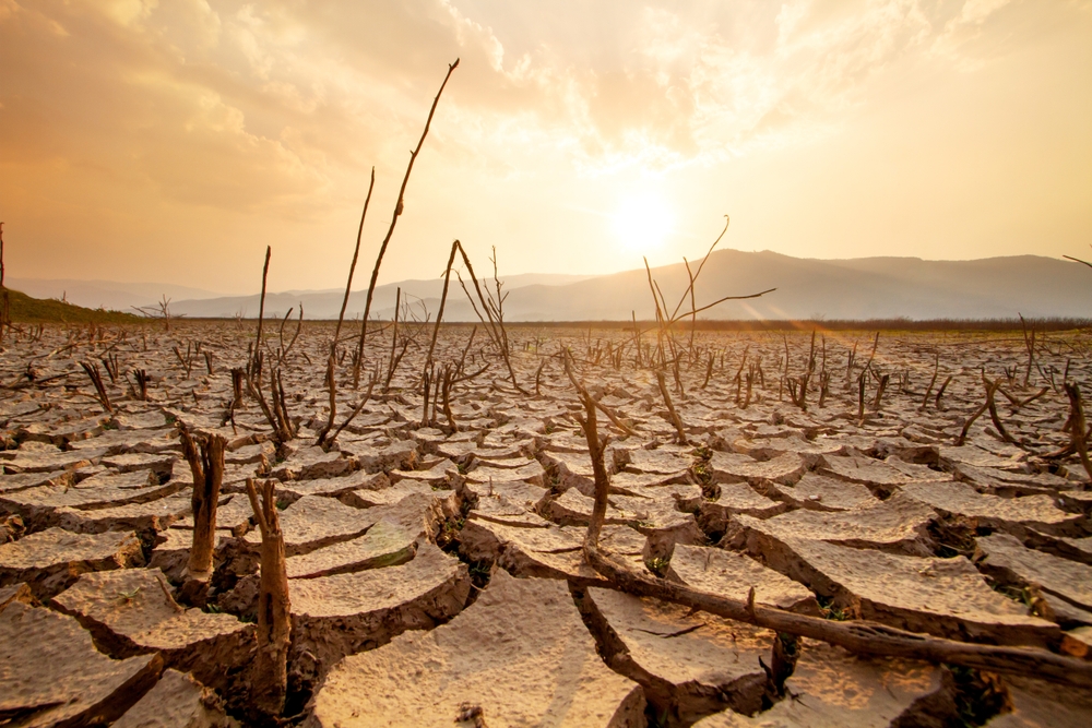 The research, carried out by a group of 57 scientists, says that global warming is seeing temperatures rising by 0.25 degrees every decade.