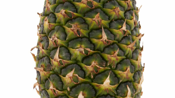 Aldi pineapple: The UK’s fourth largest supermarket will be removing the green leaves from its pineapples during the production process for recycling.